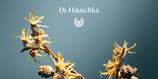 Dr. Hauschka Logo und Hailpflanze auf einem dunklen Hintergrund